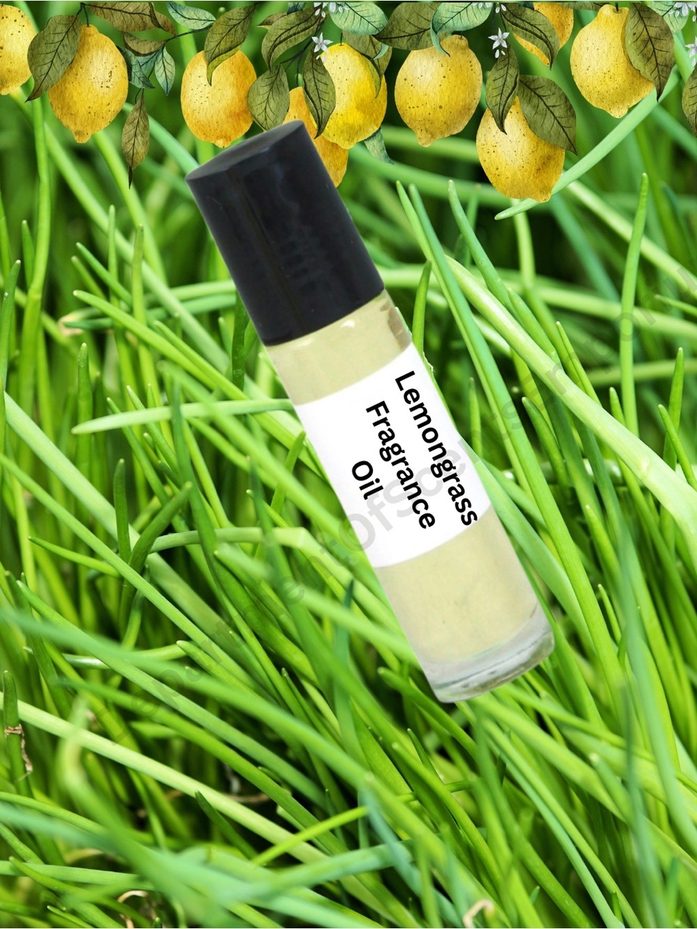 Lemongrass 1/3 Oz Burning Aromatherapy Vegan Fragrance Oil